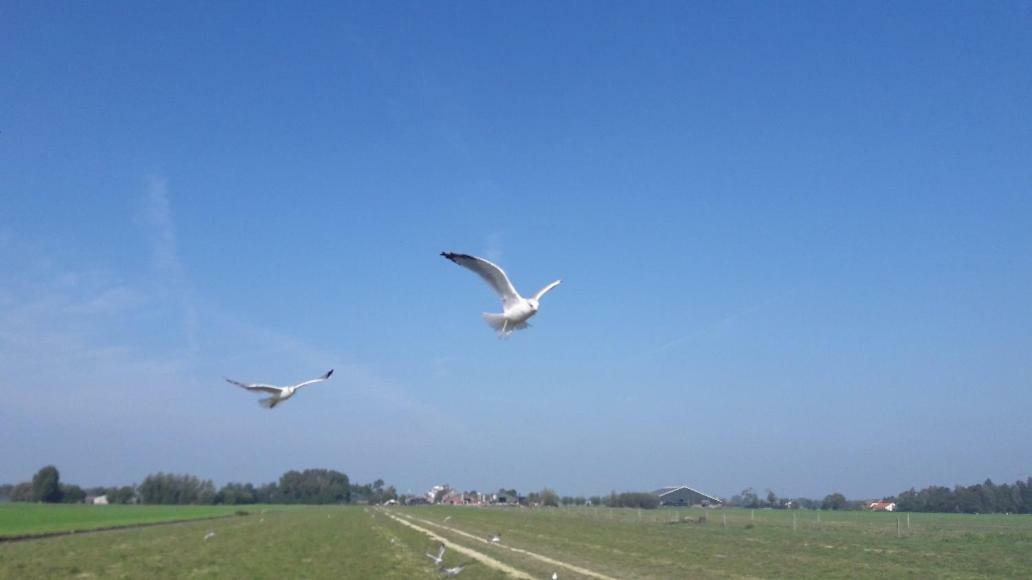 Bedstay41 Oudewater Luaran gambar