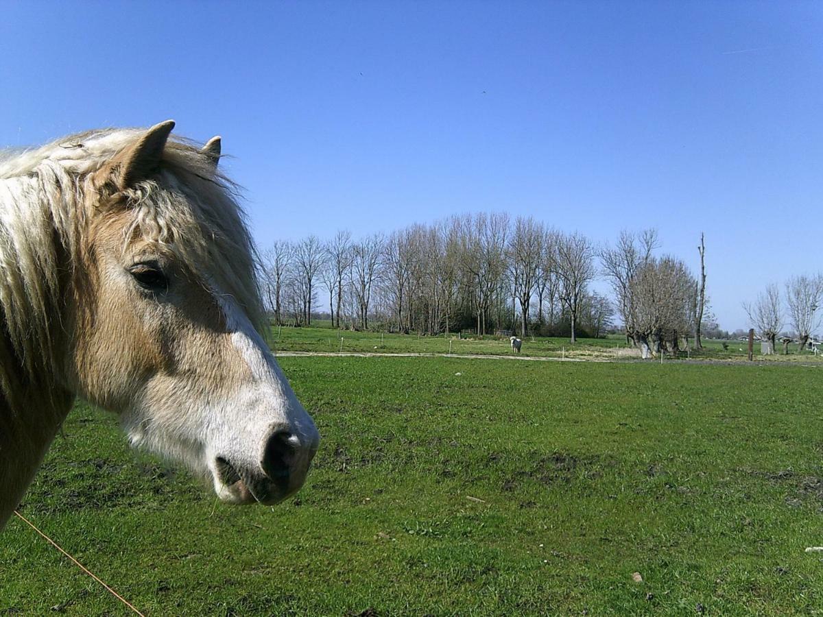 Bedstay41 Oudewater Luaran gambar